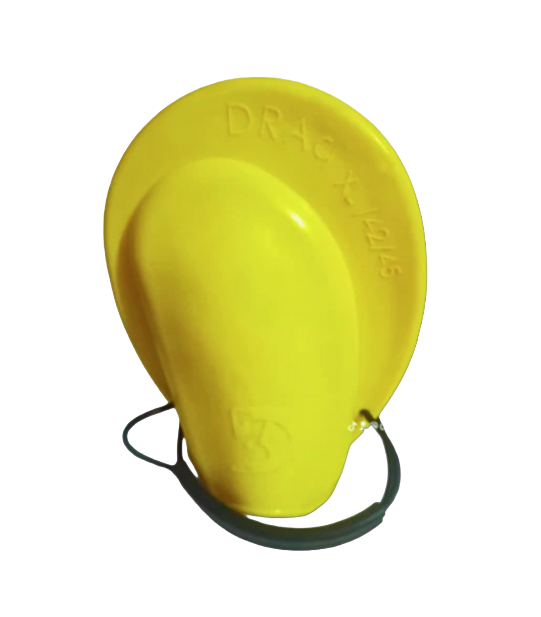 زعانف بريست