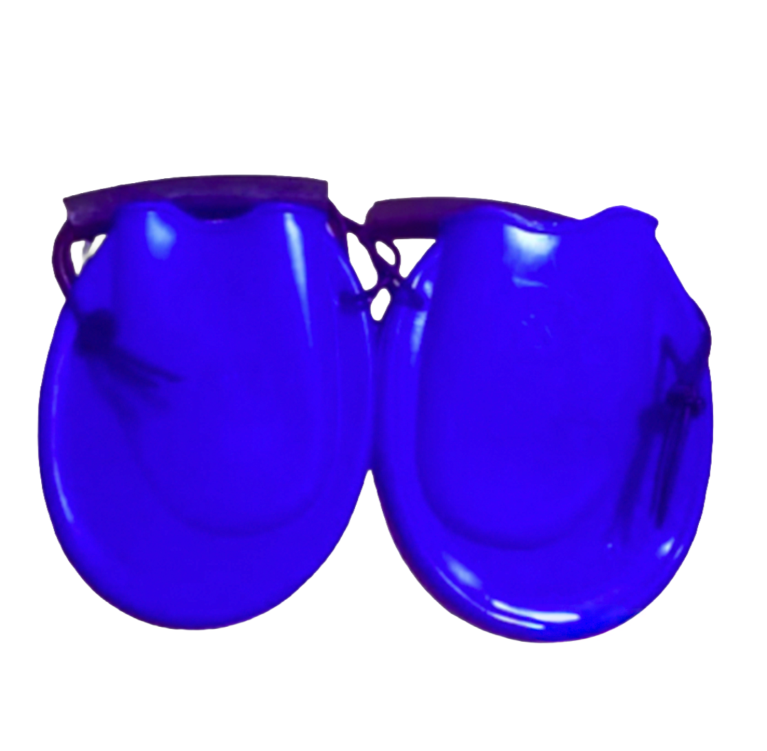 زعانف بريست