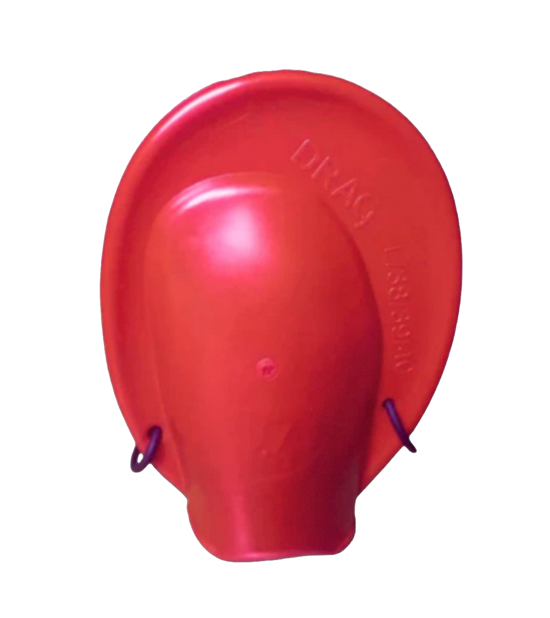 زعانف بريست